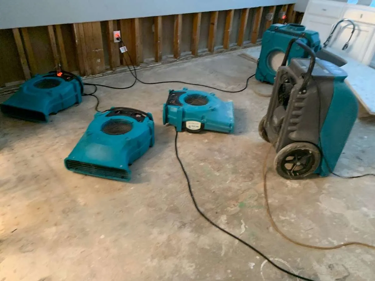 Water Damage Restoration services in Wylie, TX